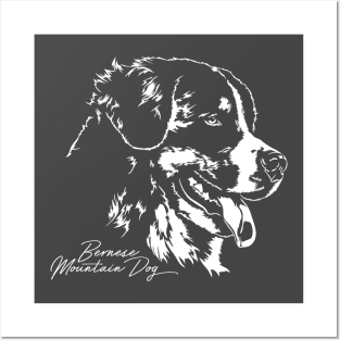 Bernese Mountain Dog lover dog portrait Posters and Art